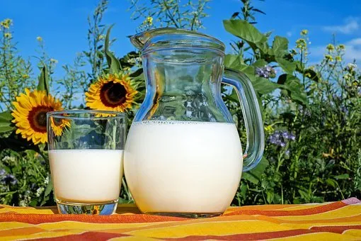 С начала года молочные предприятия Ульяновской области экспортировали более 58 тысяч тонн продукции – Россельхознадзор 